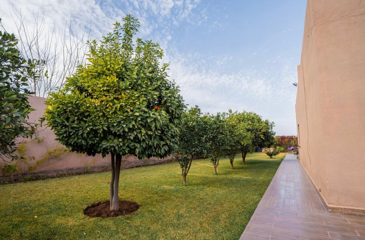 Villa Gold