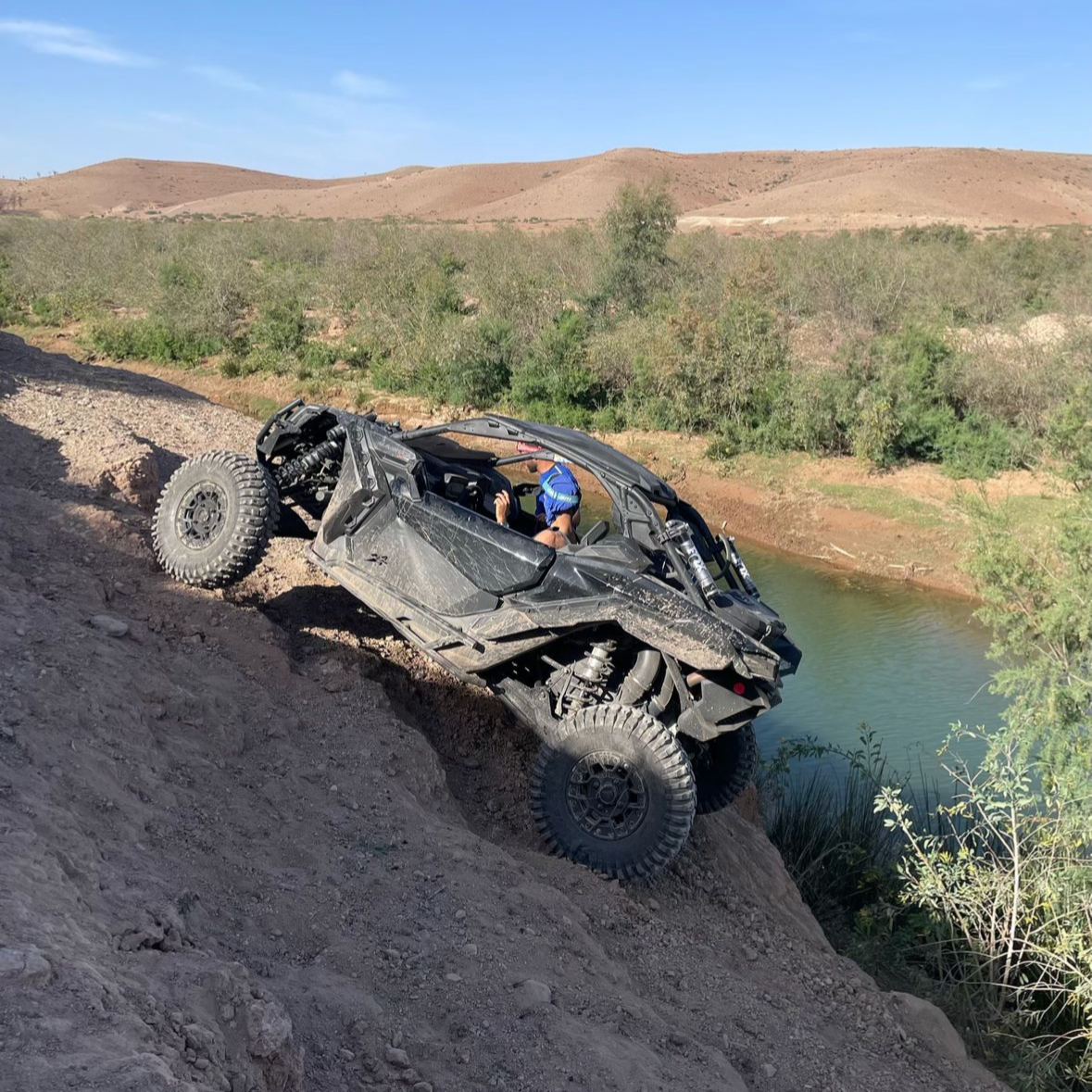 Buggies