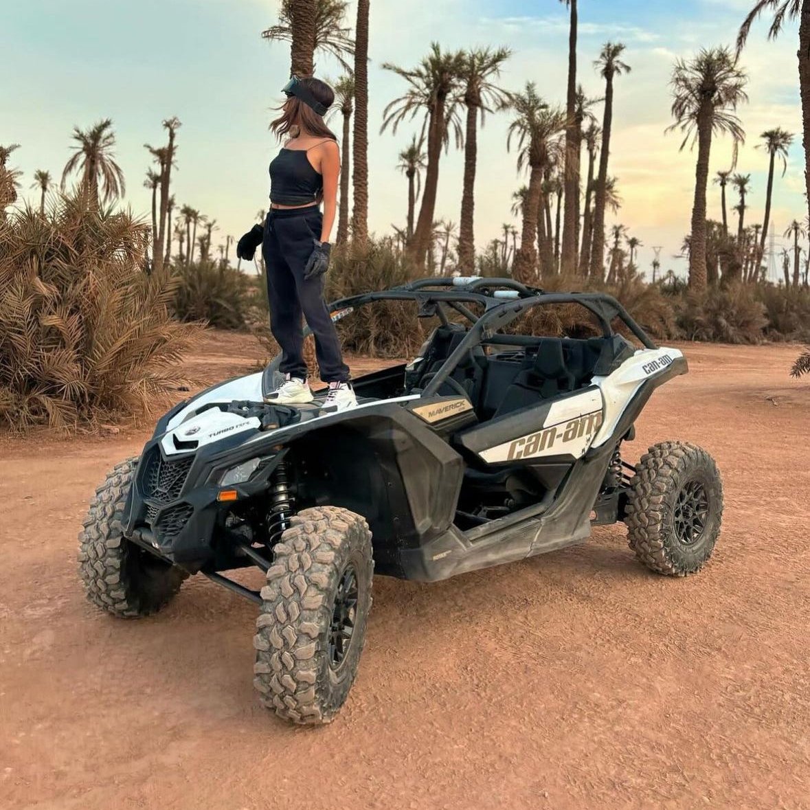 Buggies