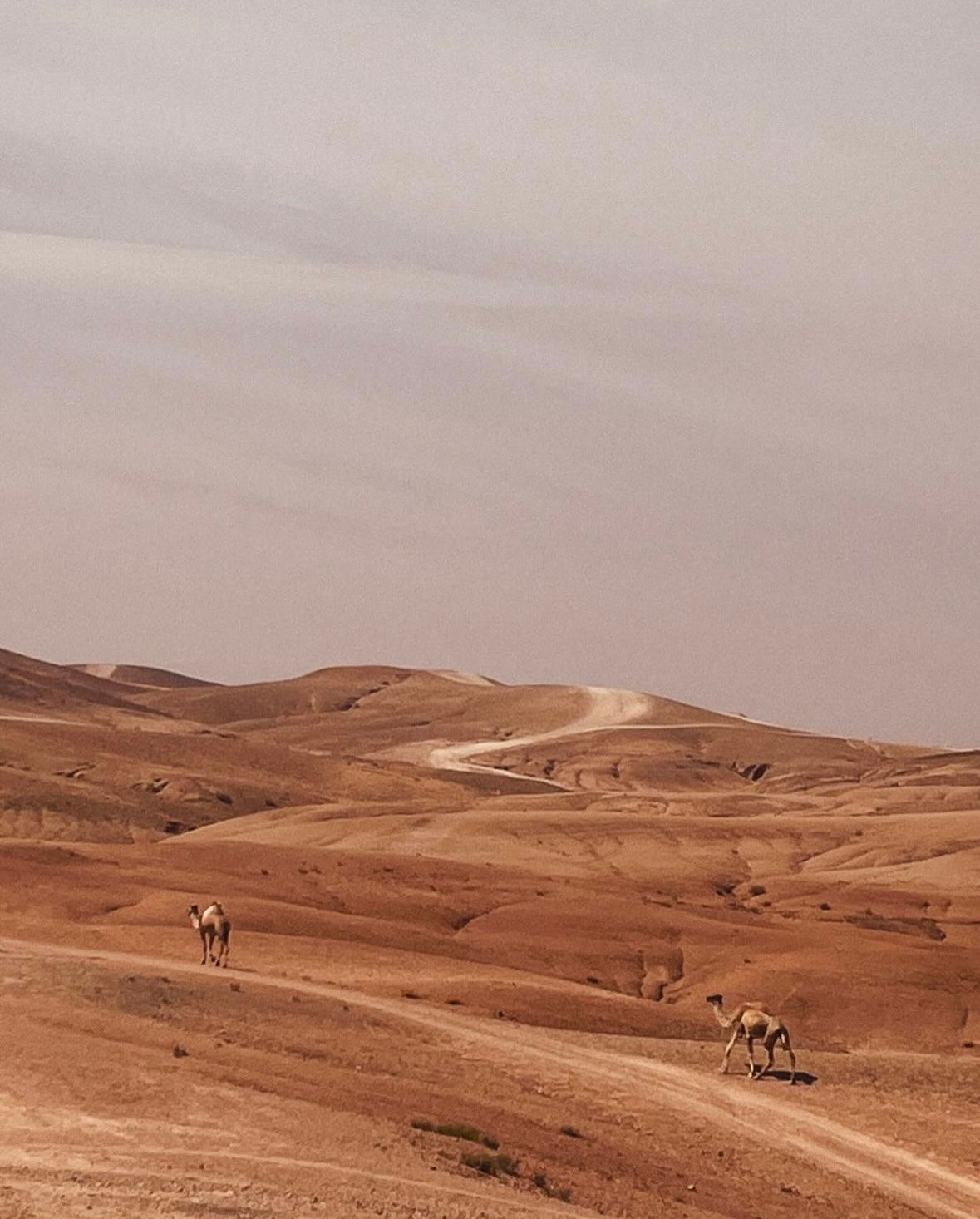 Escapada Auténtica en el Corazón del Desierto de Agafay – Estancia Única con Media Pensión