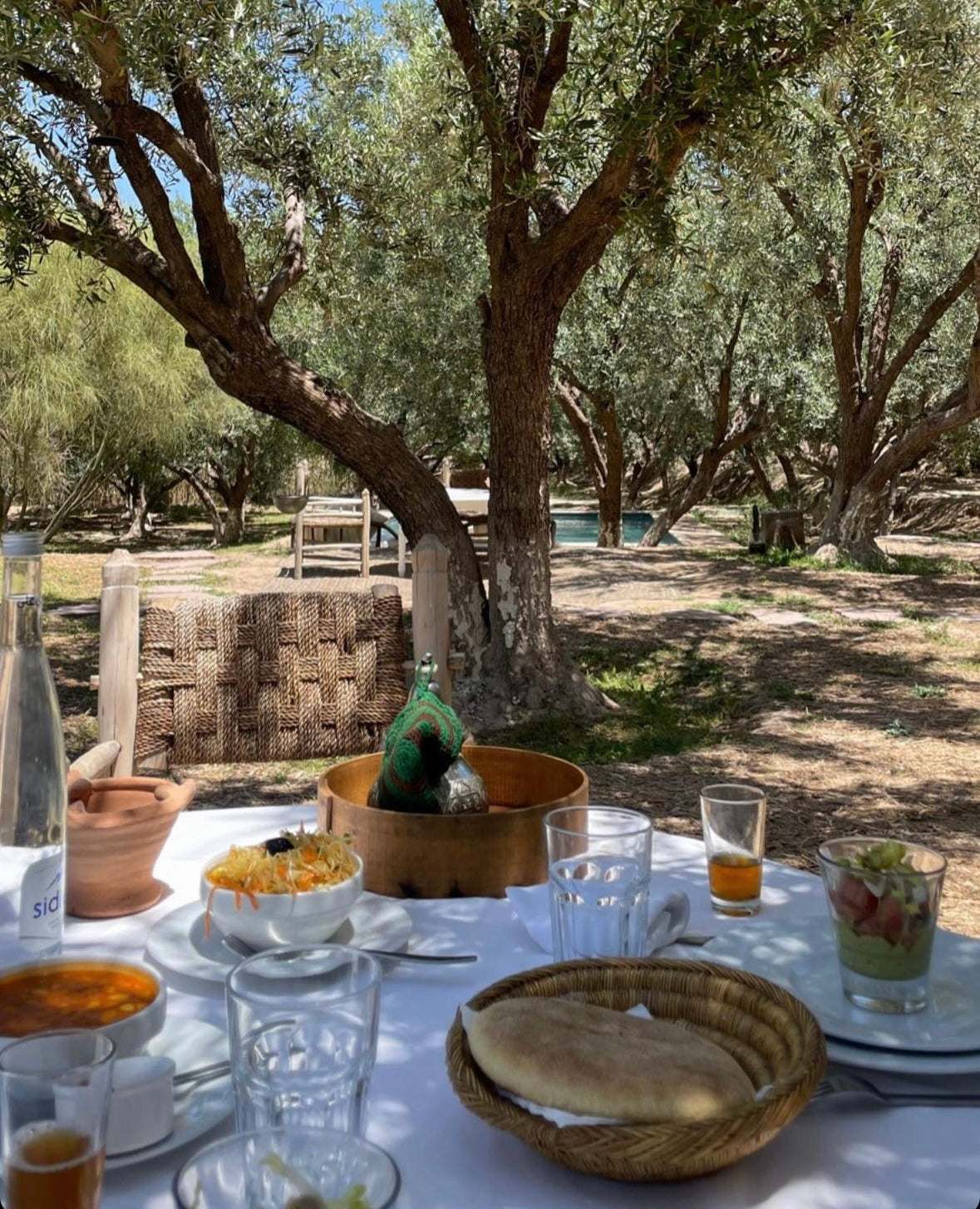 Évasion Authentique en Plein Désert - Séjour, Gastronomie et Activités