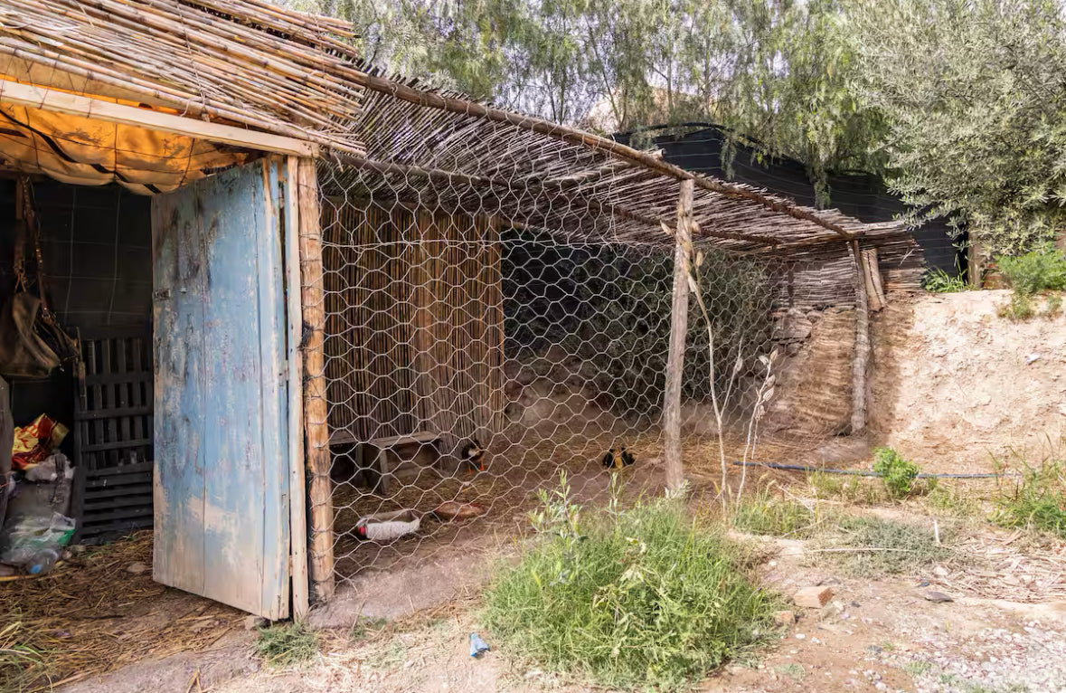 Escapada Auténtica en el Corazón del Desierto de Agafay – Estancia Única con Media Pensión