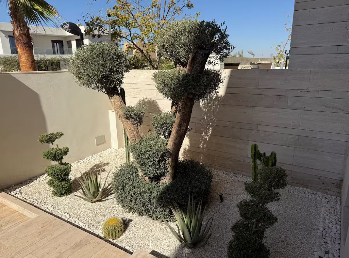 Villa Kelya – Route de l’Ourika