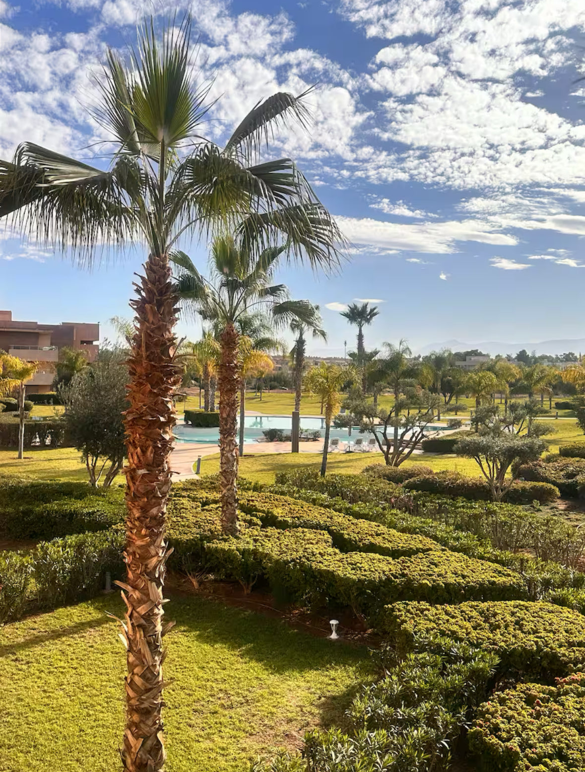 Le Djibson - Prestigia Opale