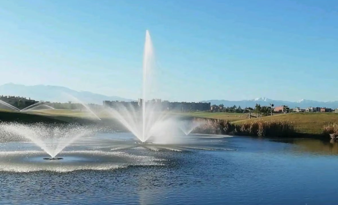 Le Zaka - Prestigia Saphir