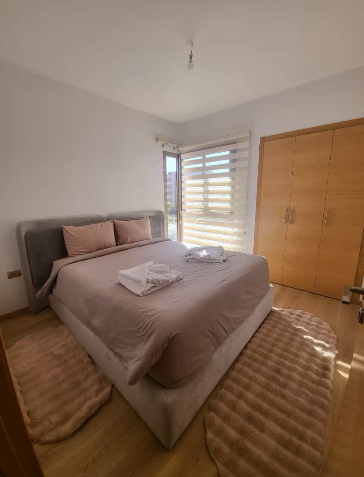 Le Coq - Prestigia Saphir