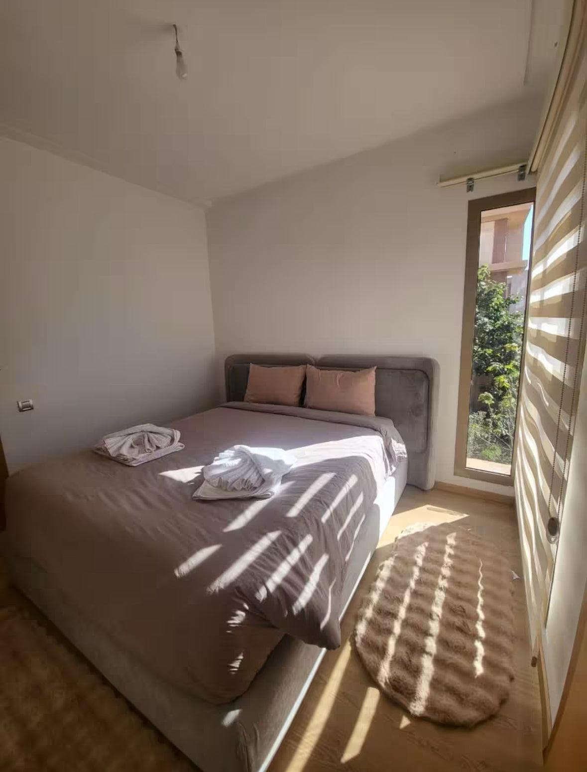 Le Coq - Prestigia Saphir