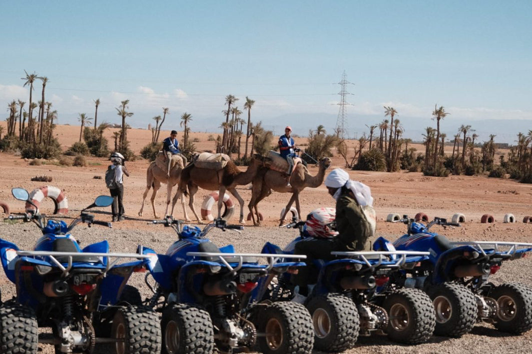 Demi-Journée en Quad : Vitesse et Paysages