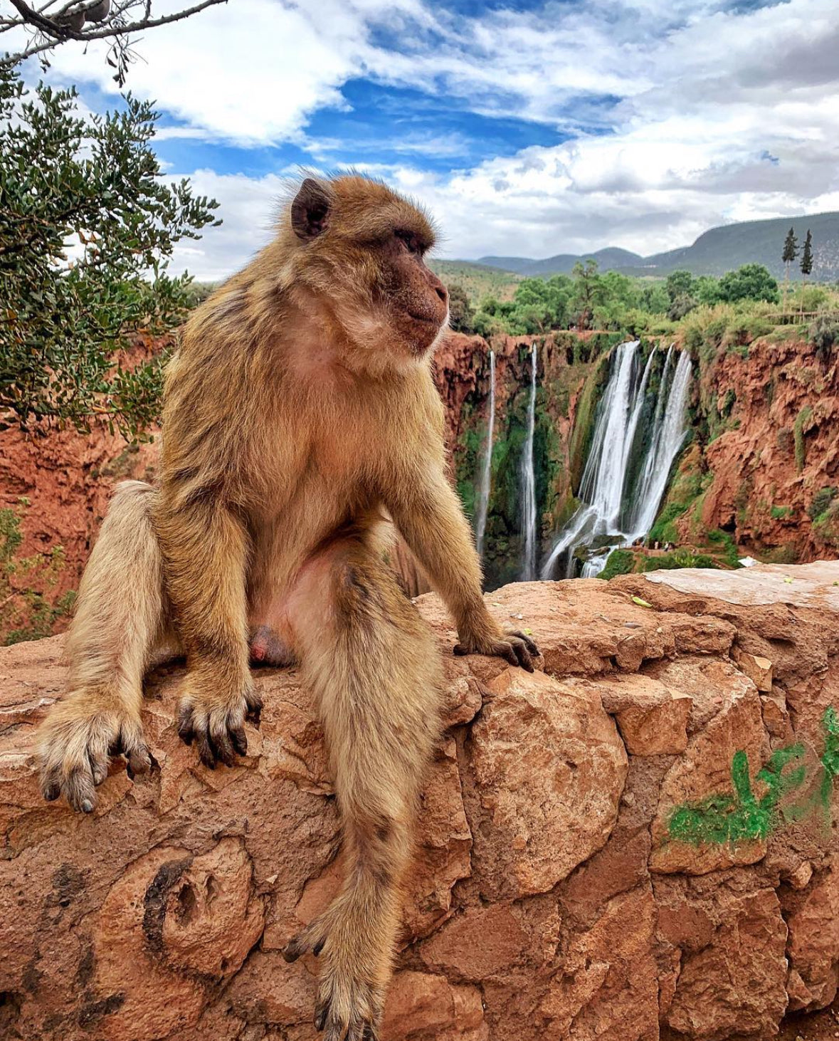 Ouzoud Waterfalls: Natural Splendor and Adventure