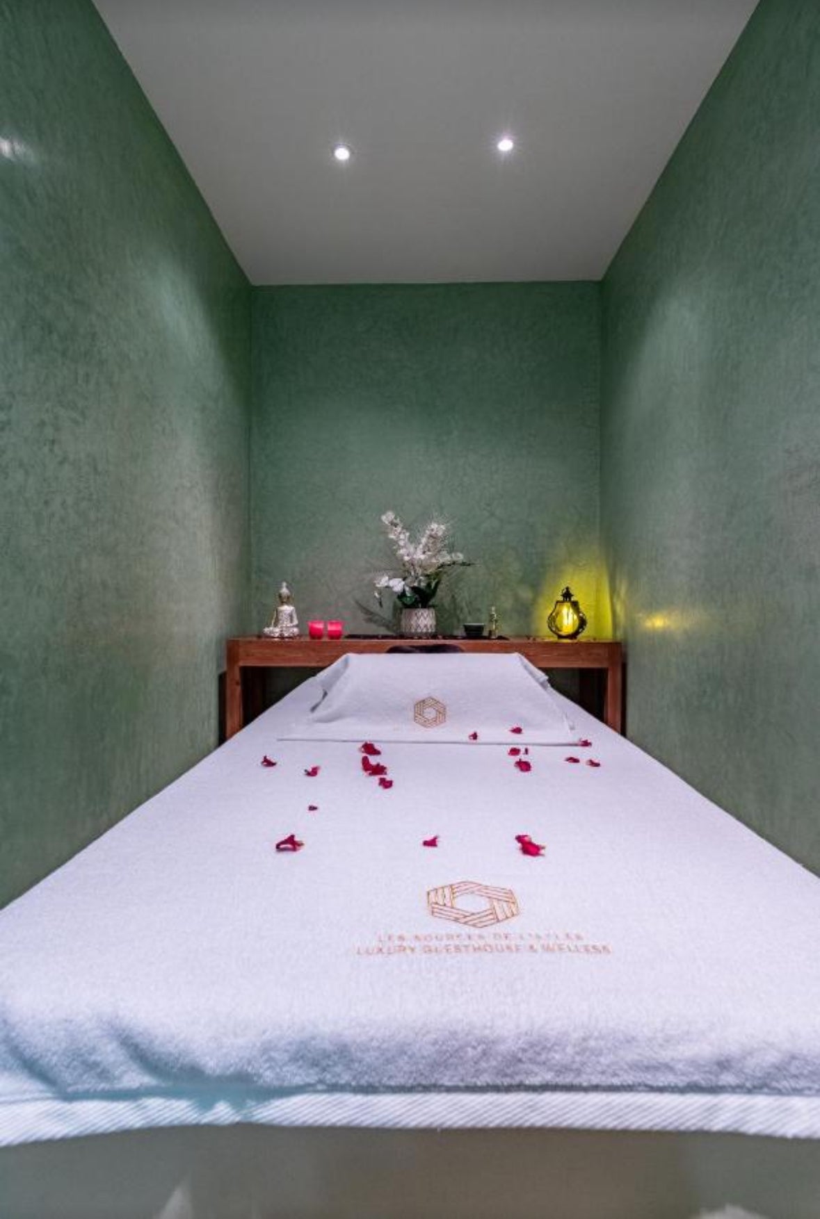 Palais Les Sources de l'Atlas : Escape and Well-Being in the Heart of Marrakech