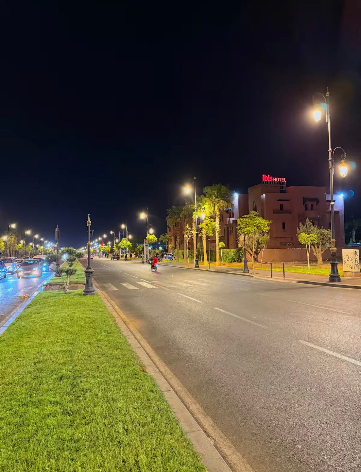 Villa Palm - Palmeraie