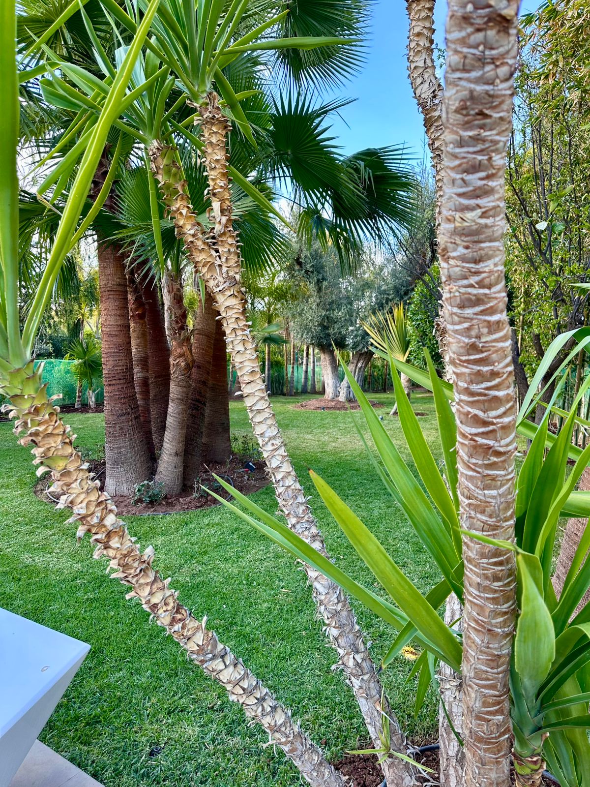 Villa Dior - Noria Golf