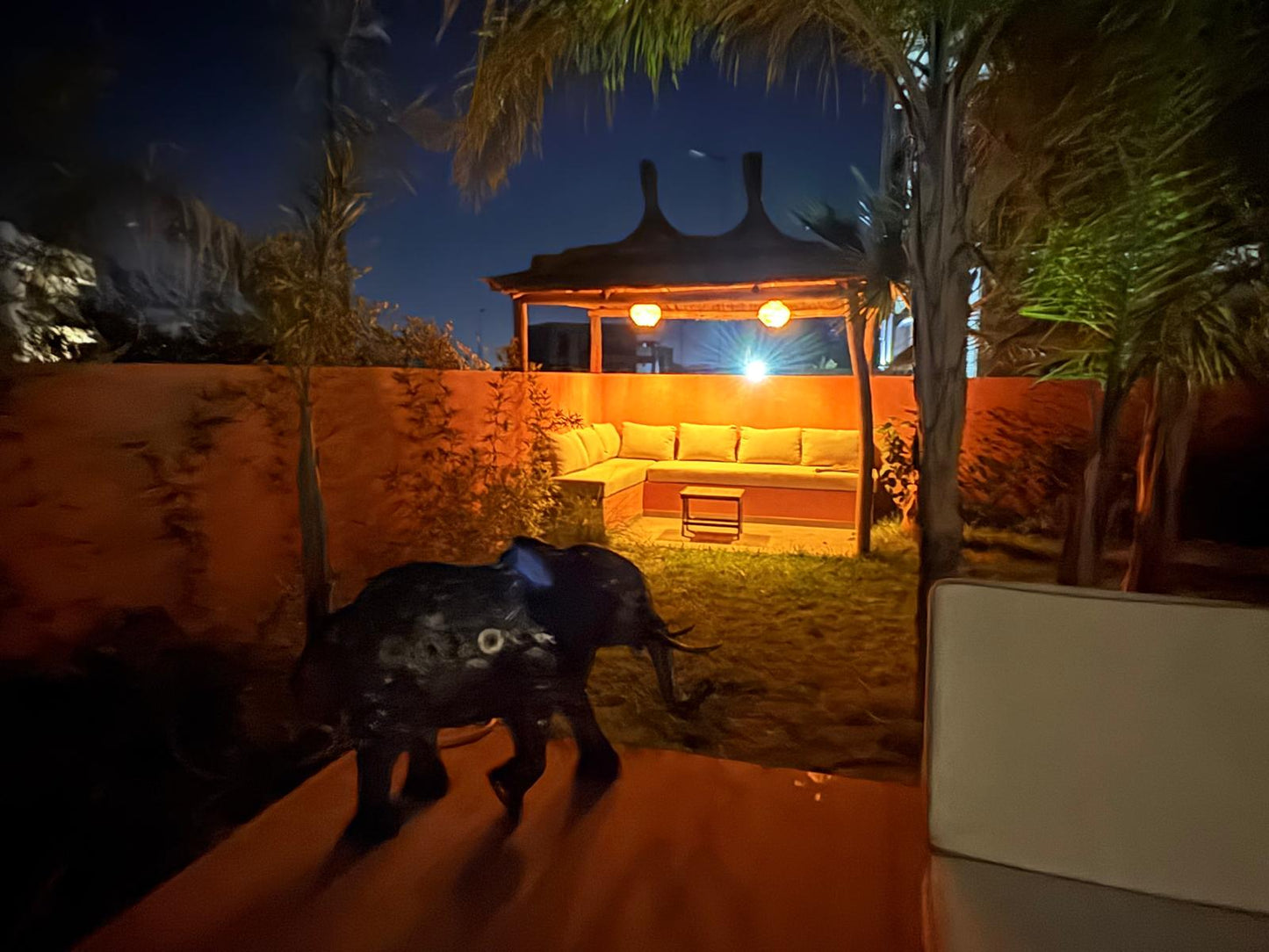 Villa Center - Route Ouarzazate